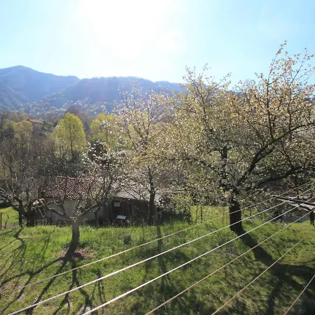 Appartamento Gianni By Interhome Castelveccana